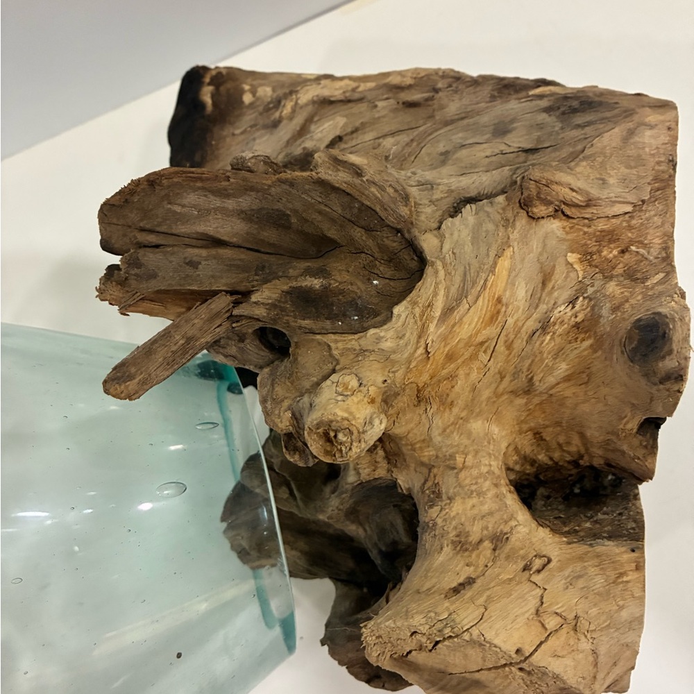 Atrium/Fishbowl Glass Teak Burl Wood Fishbowl/Airplant Display
Molten Glass - Picture 12 of 14